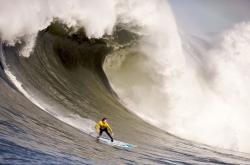 英雄联盟总决赛时间-跨越体育的终结者本能，当东契奇与德罗赞在各自的战场按下关机键