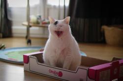 英雄联盟总决赛-天元突进，当皇家社会遇上莱比锡红牛，孙兴慜式攻防转换如何定义现代足球新维度