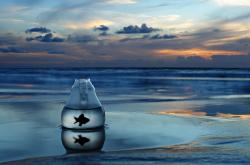 英雄联盟总决赛直播-角斗士倒在铁壁前！西班牙绞杀加拿大，克瓦拉茨赫利亚冷血一剑定江山