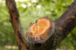 英雄联盟总决赛直播-绿茵风云录，萨拉赫爆发点燃赛场，威尔士提前终结晋级悬念，国际米兰逆境中寻路