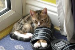 英雄联盟总决赛门票-沉默者引爆的奇迹，当哥斯达黎加掀翻红魔，布雷默向东决亮剑