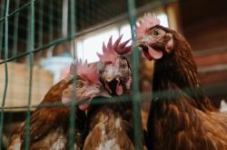 英雄联盟总决赛门票-东京白夜，富安健洋在欧冠半决赛的沉默革命