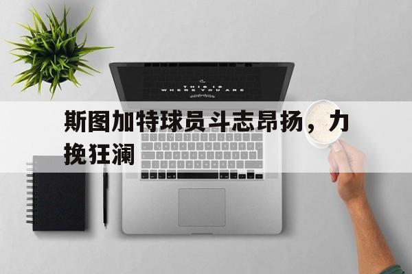 关于斯图加特球员斗志昂扬，力挽狂澜的信息