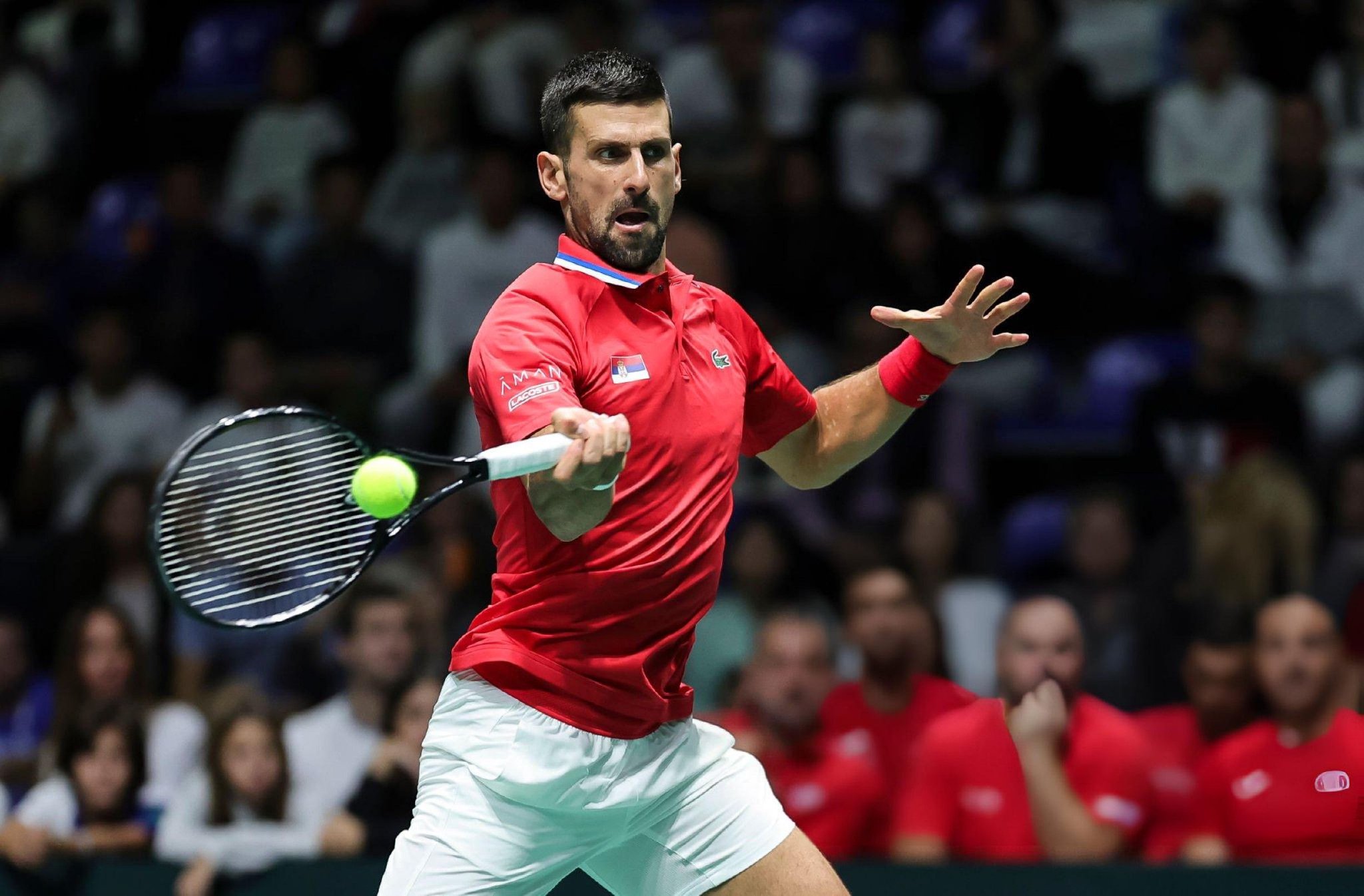 拉沃尔杯完胜ATP总决赛,德约科维奇高光表现 拉沃尔杯完胜ATP总决赛,德约科维奇高光表现