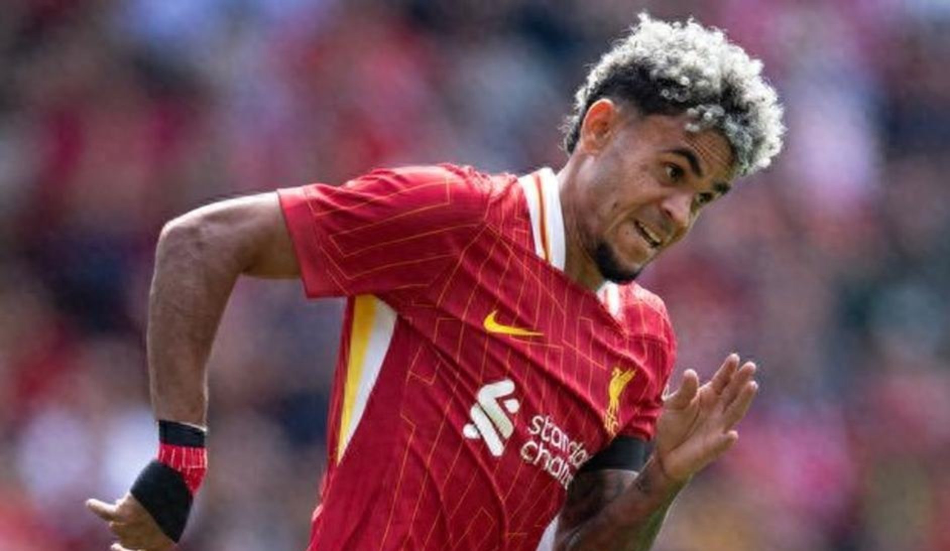 荷兰险胜利物浦,苏亚雷斯高光表现 荷兰险胜利物浦,苏亚雷斯高光表现