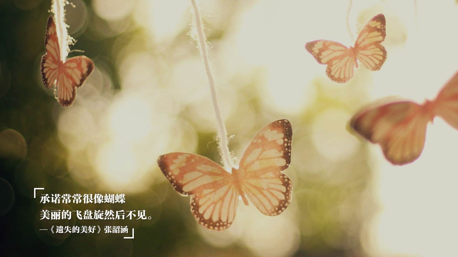 石油酋长的苏格兰传说,奥利维耶末节狂飙记