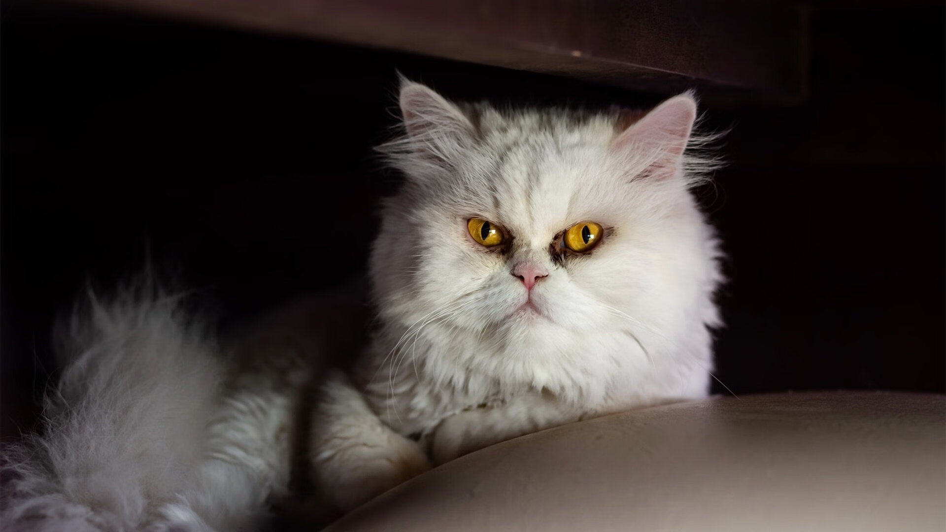 特莱维的咆哮，当巴雷拉在抢七之夜将罗马的黄昏化为黎明