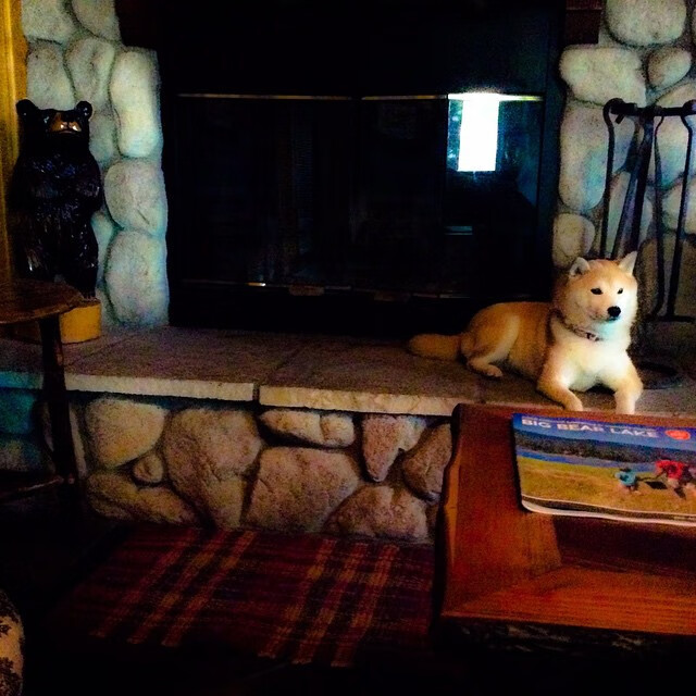 绿茵魔法,当加维的灵感为中国按下四十五秒奇迹快进键