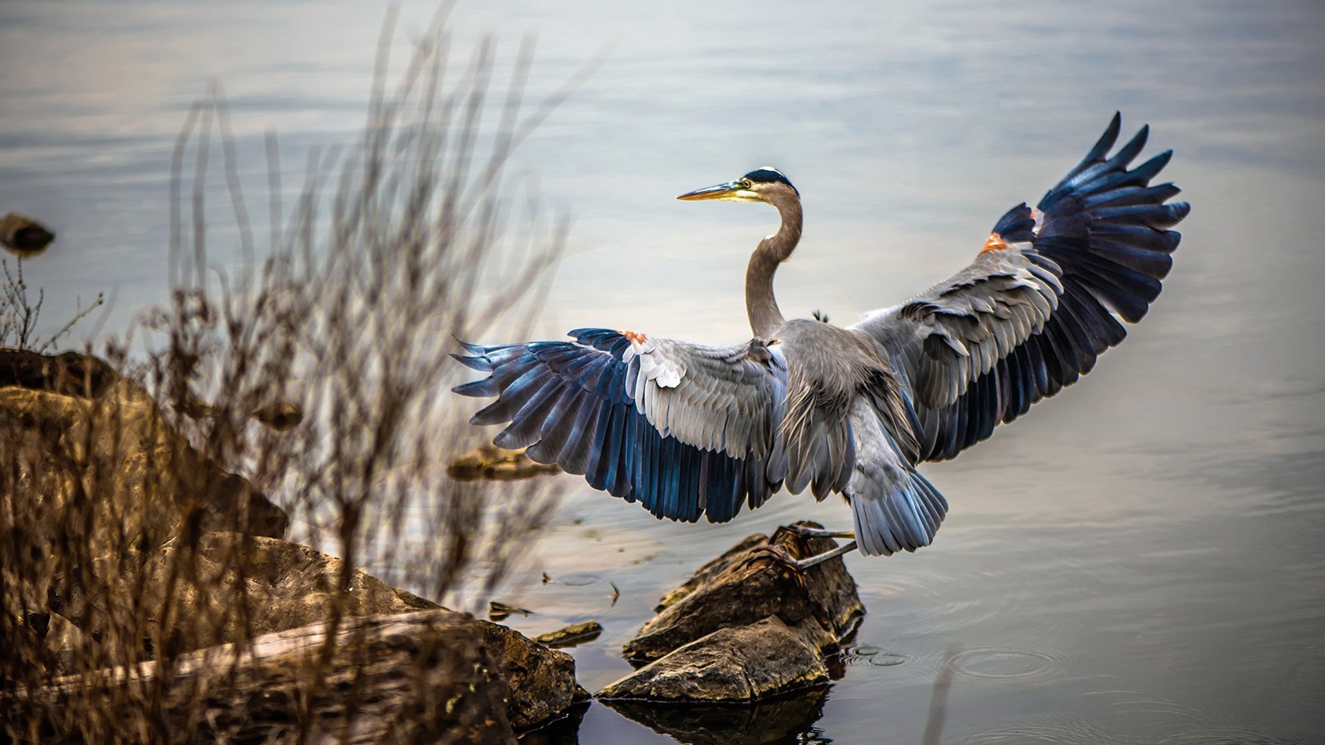 体育史上的平行奇迹,F1街道赛激情四溢,马刺掀翻绿衫军