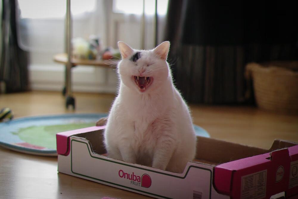 天元突进,当皇家社会遇上莱比锡红牛,孙兴慜式攻防转换如何定义现代足球新维度