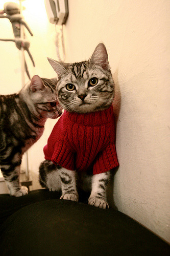 欧战之夜，两种降维打击，当黄潜艇的精密齿轮碾过马赛，京多安在何处布下无解题？