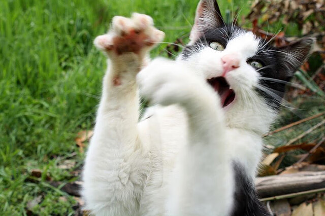 钢铁防线+绝杀风暴！德里赫特诠释何谓全场最佳无争议