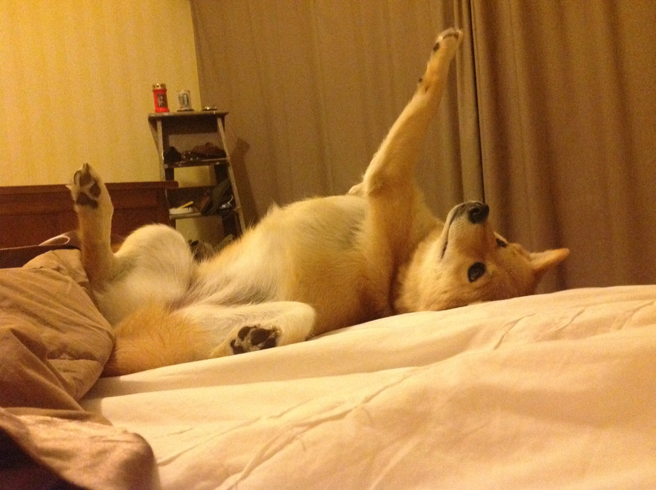 当欧洲的爆发点,照见英超争冠的残酷日常—为什么说AC米兰单节拉开西班牙是曼城与阿森纳无法企及的奢侈