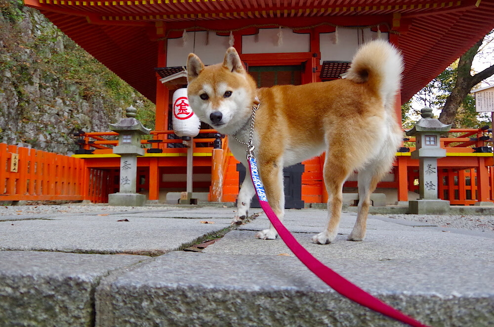 熔炉104分钟,当鏖战炼出关键先生拉文