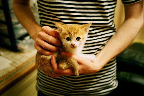 沉默者引爆的奇迹,当哥斯达黎加掀翻红魔,布雷默向东决亮剑