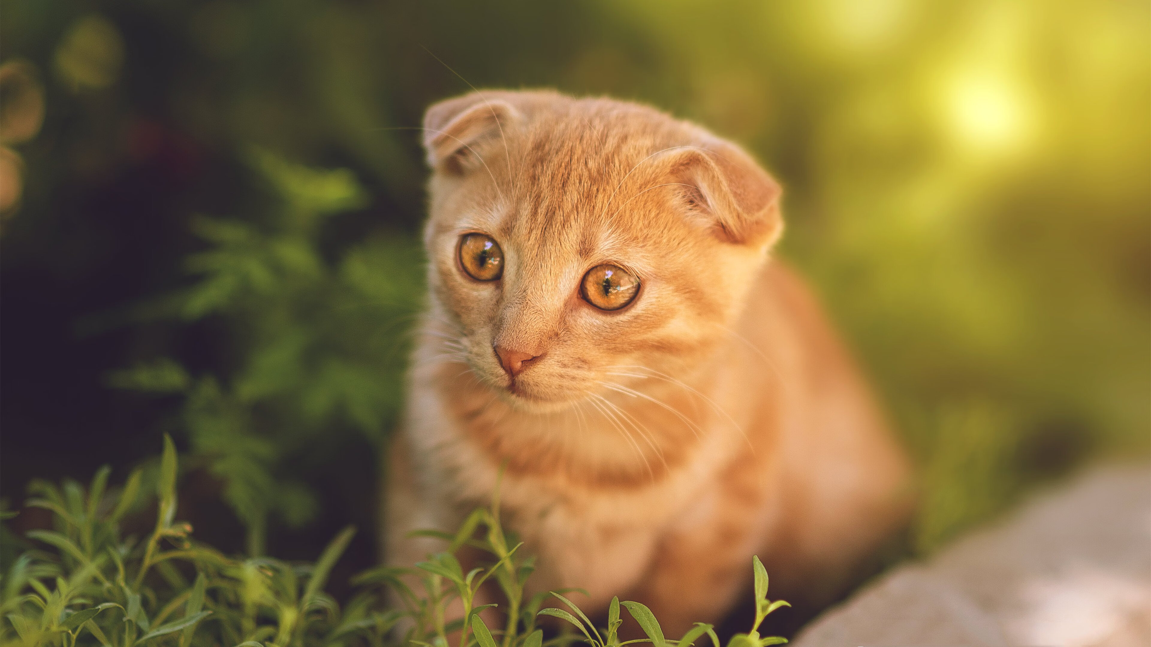 独步天王!哈登天神下凡,只手遮天终结热火