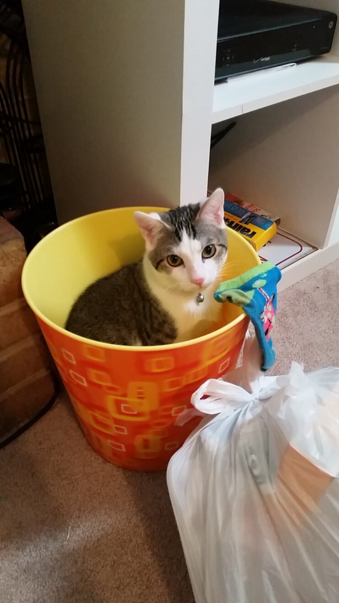 冰岛寒冰 vs 雷恩火焰,欧冠淘汰赛史上最独特的鏖战