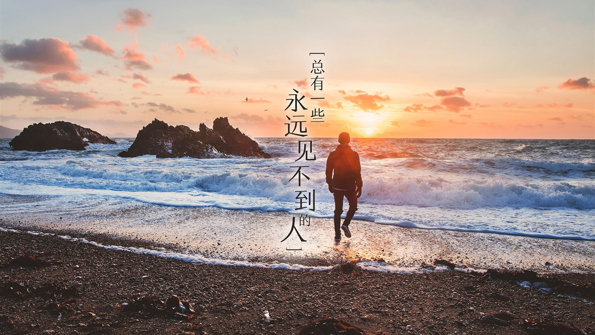 南美双雄会,费利克斯一击制胜,厄瓜多尔在A组强强对话中力克智利