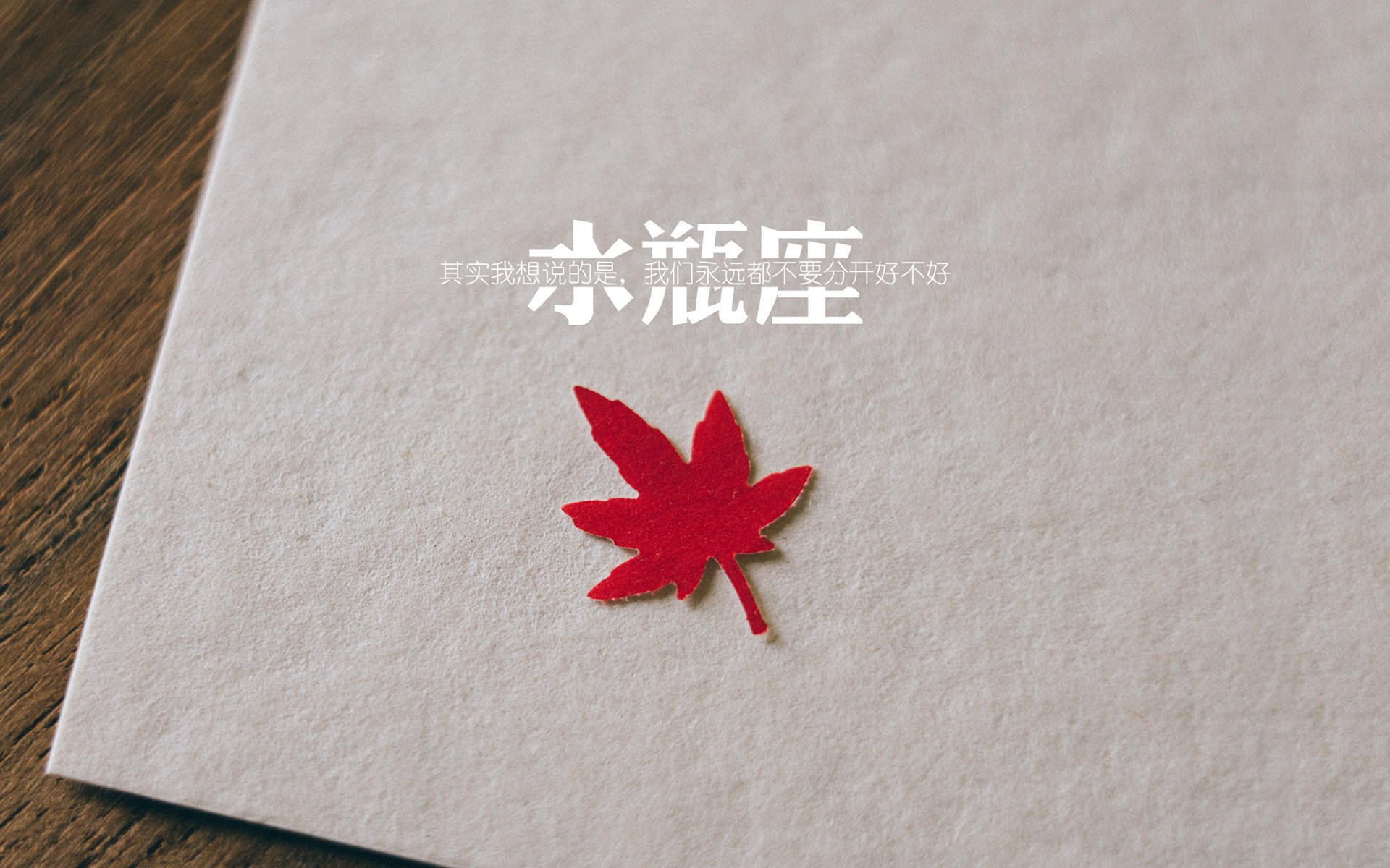绿茵孤勇者，那场改写命运的关键战，厄瓜多尔如何在绝境中险胜葡萄牙